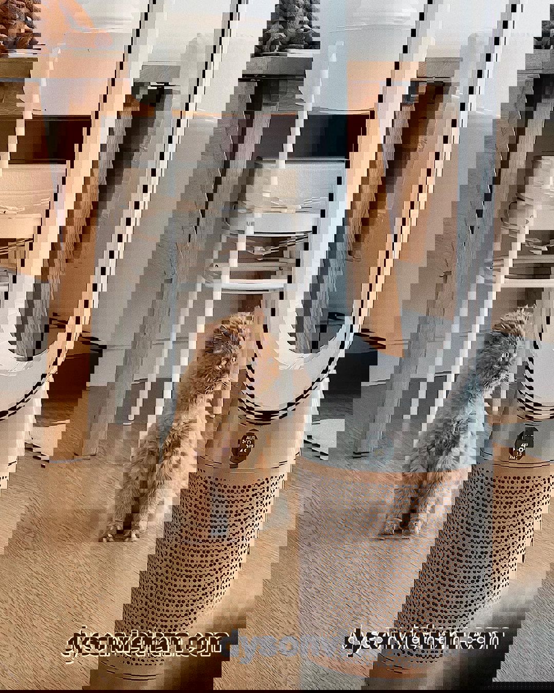 sửa quạt không cánh Dyson