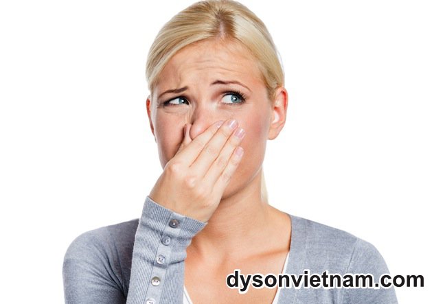 thay lõi lọc không khí Dyson TP07