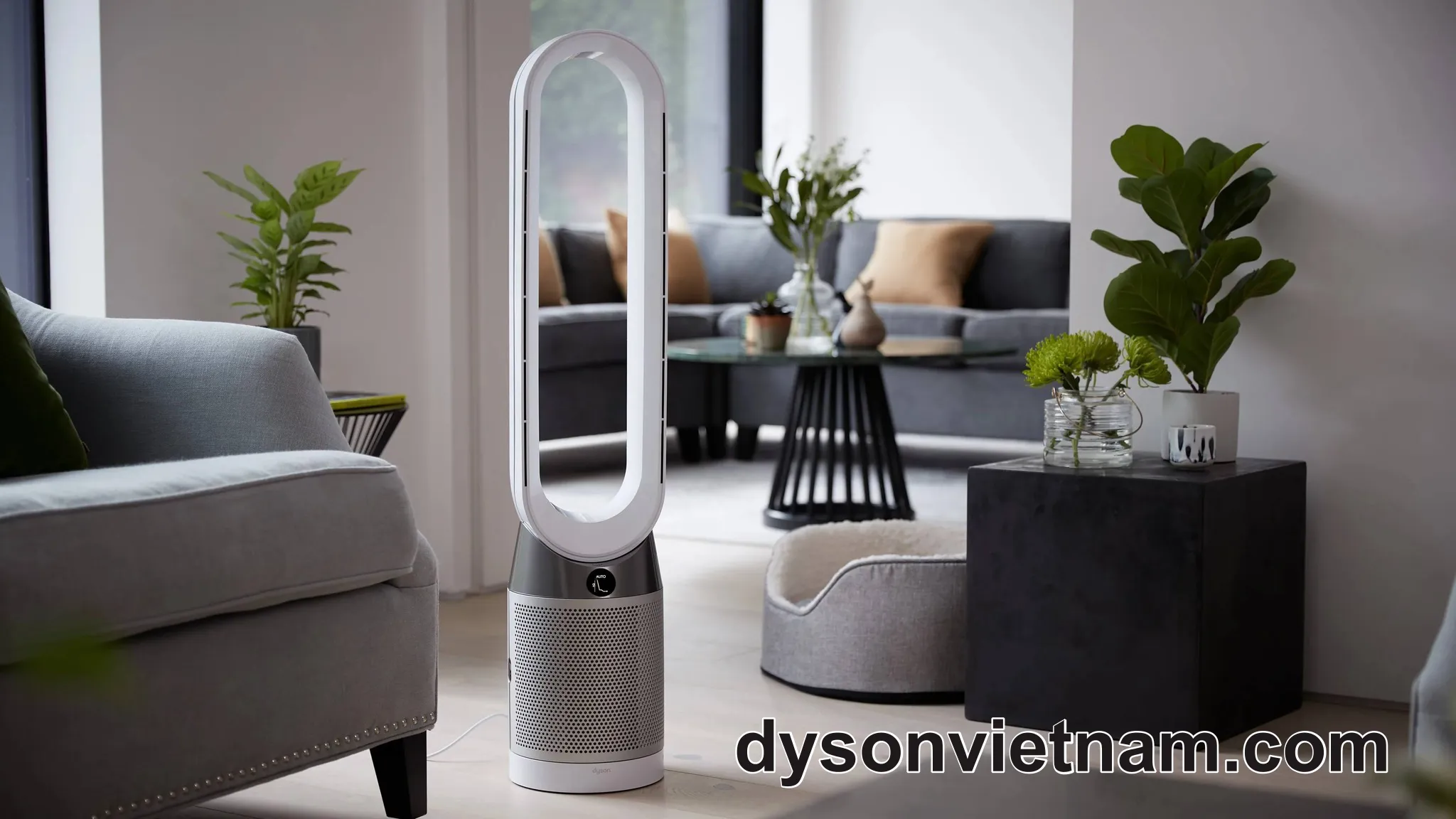 Thay Filter Dyson TP07 Chính Hãng – Nhanh, Chuyên Nghiệp Tại Huyện Bình Chánh