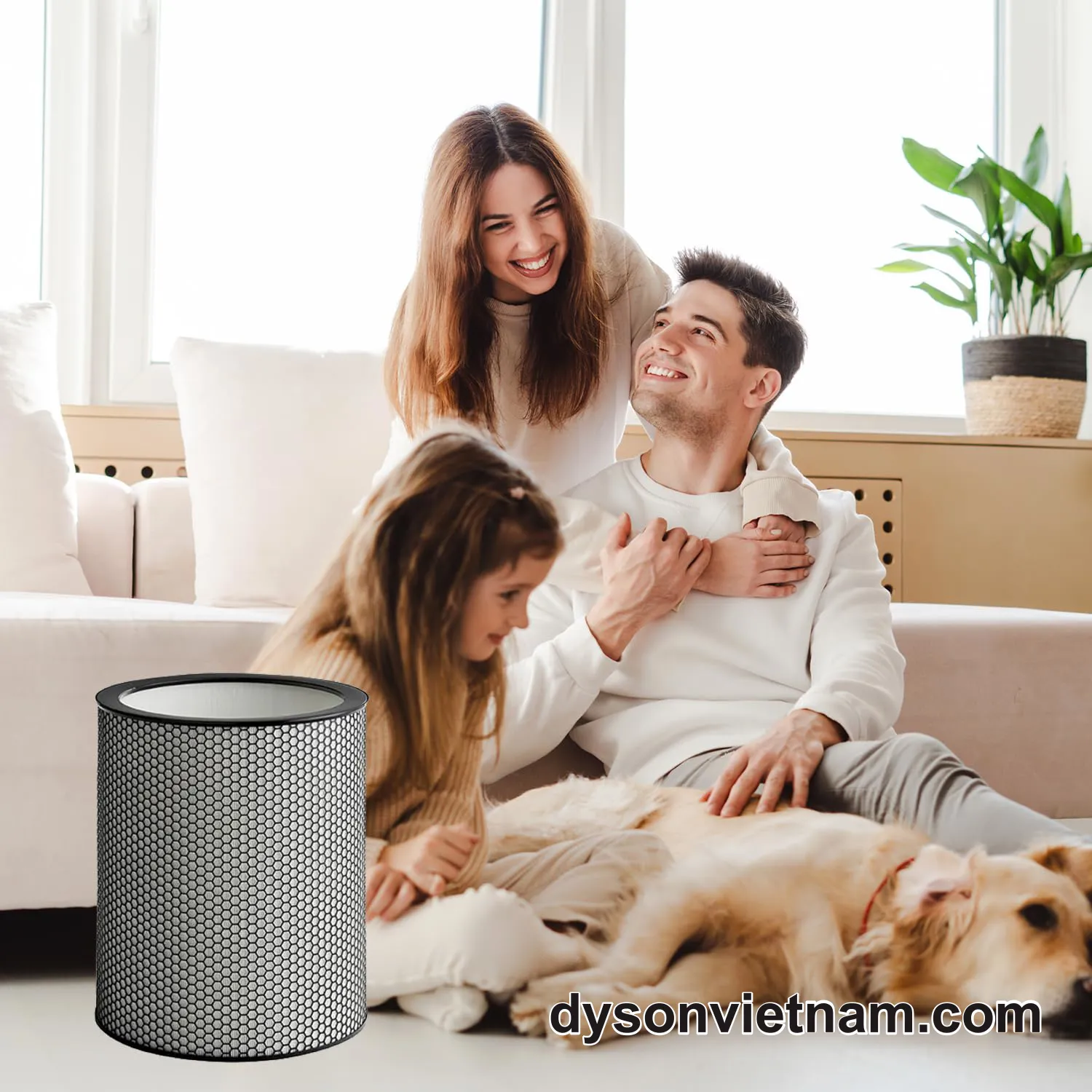 thay lõi lọc Dyson BP03