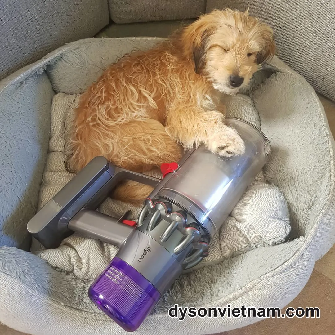 Ở Đâu Thay Pin Máy Hút Bụi Dyson V6 Chính Hãng - Bảo Hành Uy Tín Tại Phường Ba Đình