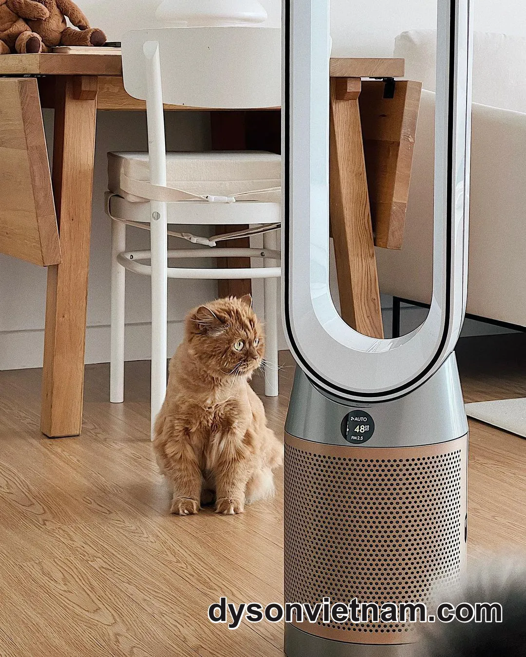 Nhận Sửa Quạt Không Cánh Dyson Chính Hãng - Ưu Đãi Tốt Tại Phường Thông Tây Hội