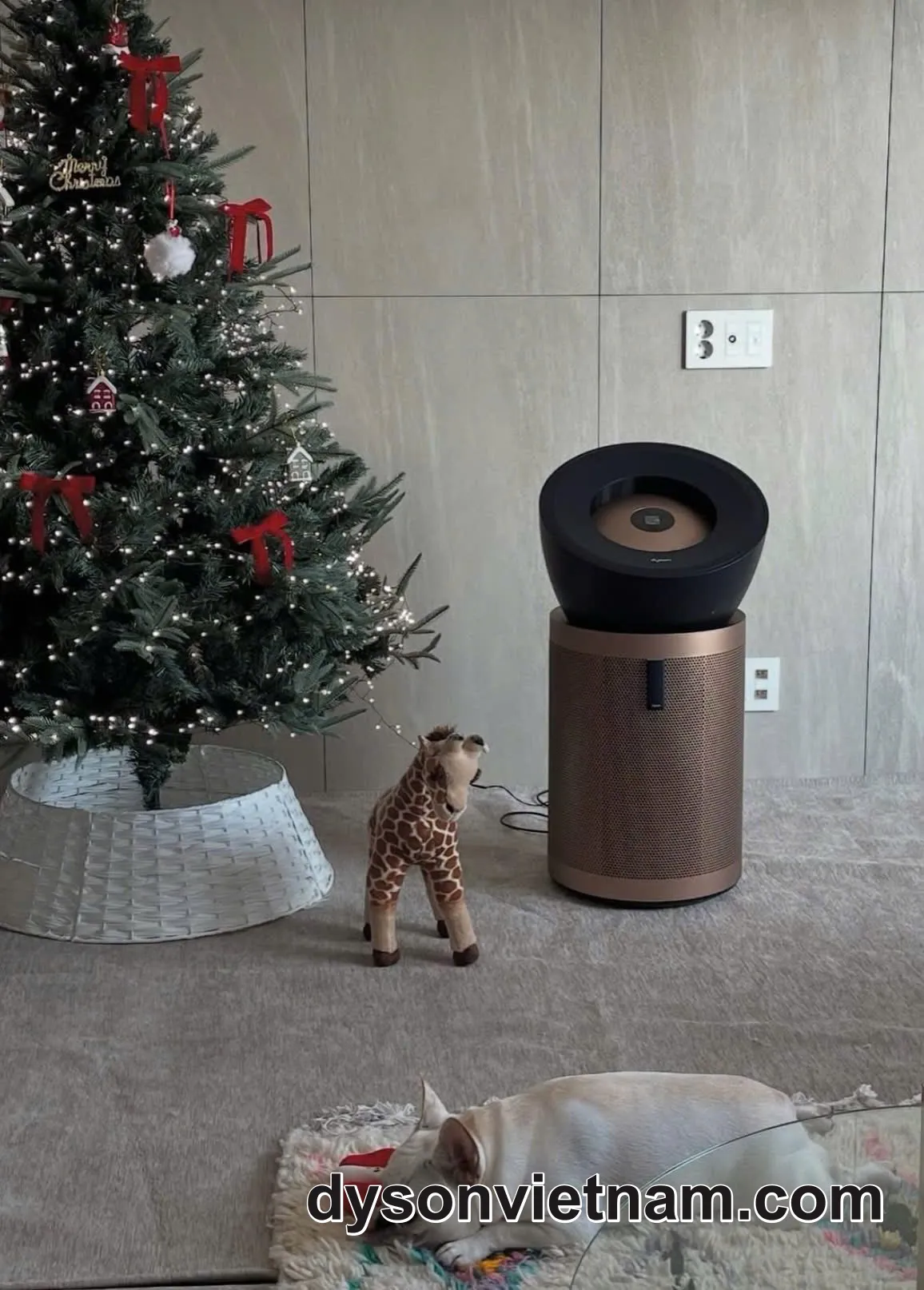 Thay Lõi Lọc Không Khí Dyson BP04 Tại Quận 11 Nhanh Chóng, An Toàn