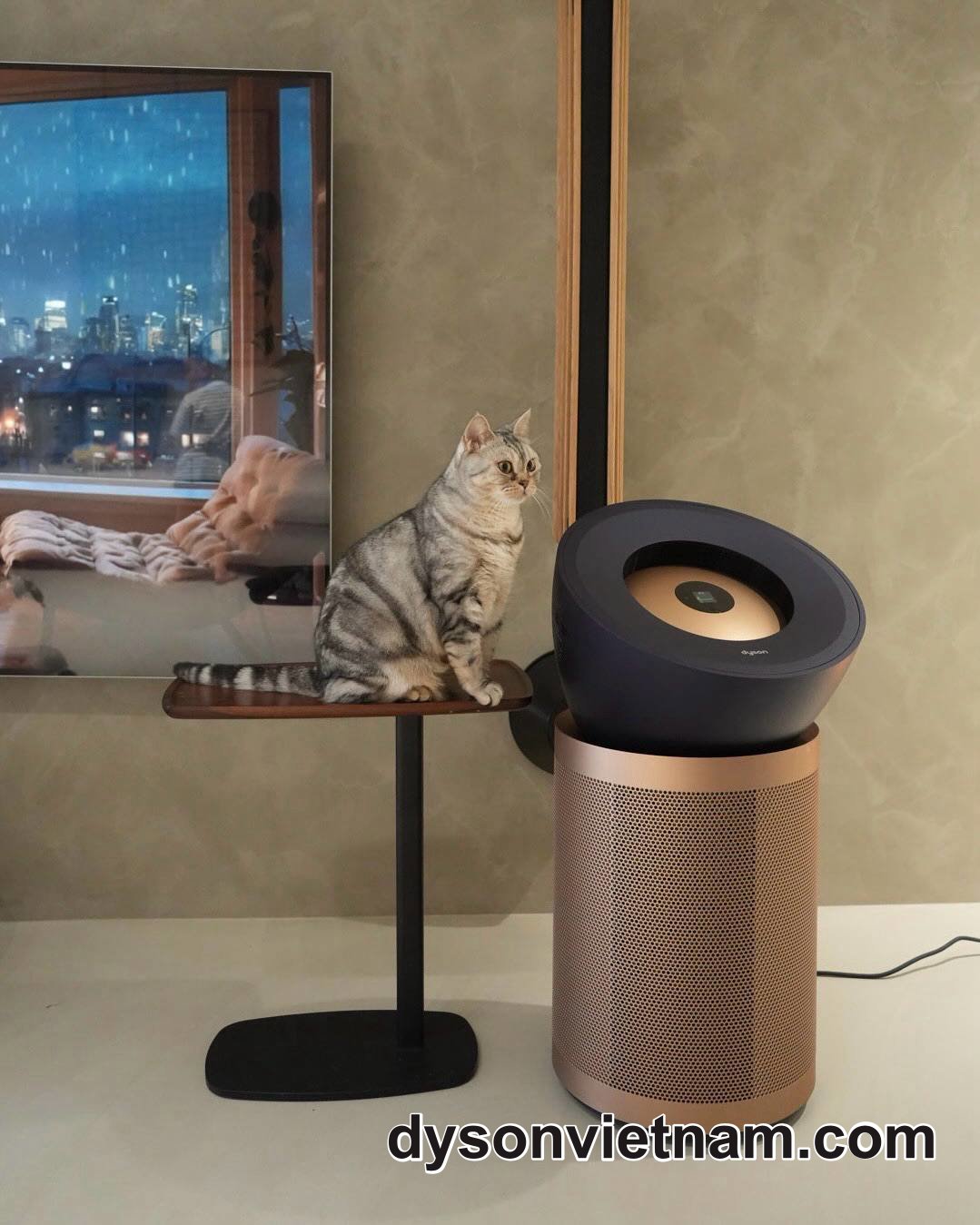 thay lõi lọc không khí Dyson BP04